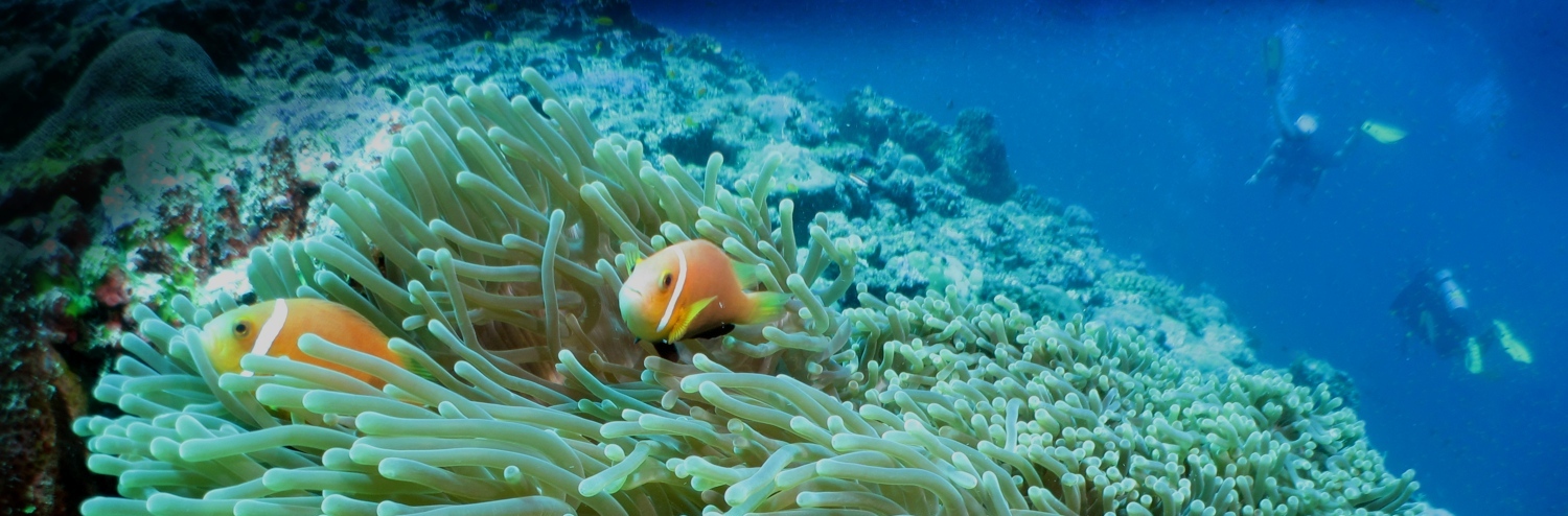Motion Underwater